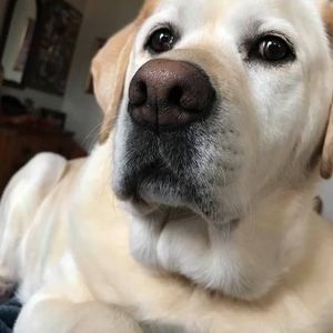 Meet your Posher, Jacqueline